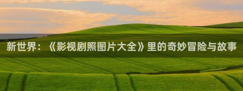 777米奇奇米影视四色官网